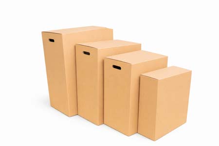 Packed Box